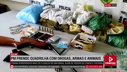 PM prende quadrilha de Kaloré com drogas, armas e animais