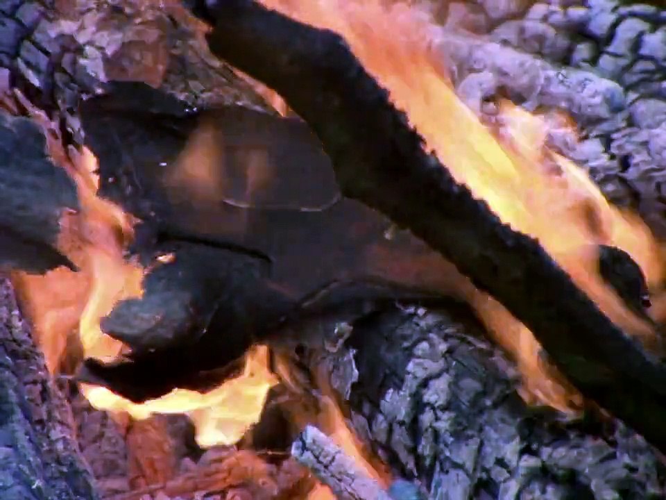 Robin Hood (1984) Staffel 1 Folge 4 HD Deutsch