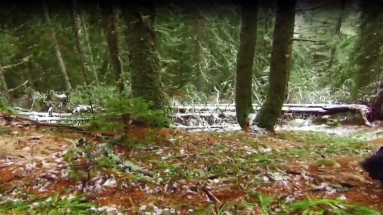 Das Survival-Duo Zwei MäNner, Ein Ziel Staffel 6 Folge 4 HD Deutsch