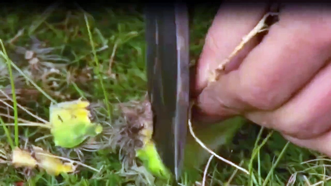 Das Survival-Duo Zwei MäNner, Ein Ziel Staffel 6 Folge 7 HD Deutsch