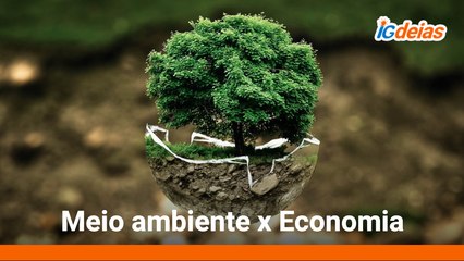 Meio ambiente x Economia