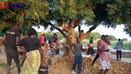 N'Djamena : les habitants de Walia luttent pour sauver leurs habitations