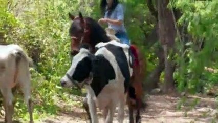 La desalmada - Capitulo 11