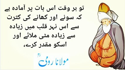 tootay howay bartan main pani aghar pya jay l molana Rumi quotes l Quotes