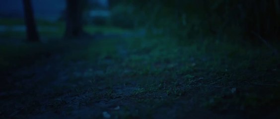 A Romance of the Little Forest (2022) Episode 26 Engsub