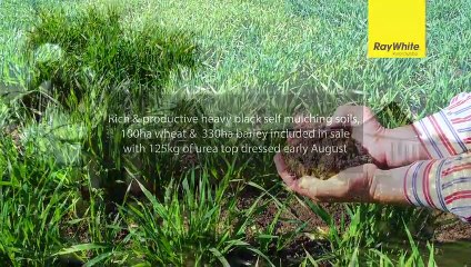 Elken Downs, Boggabri, NSW - October 19, 2022 - Farmonline