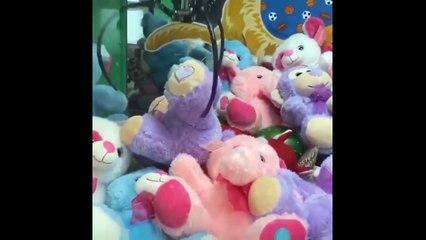 Internets Strangest Videos 2