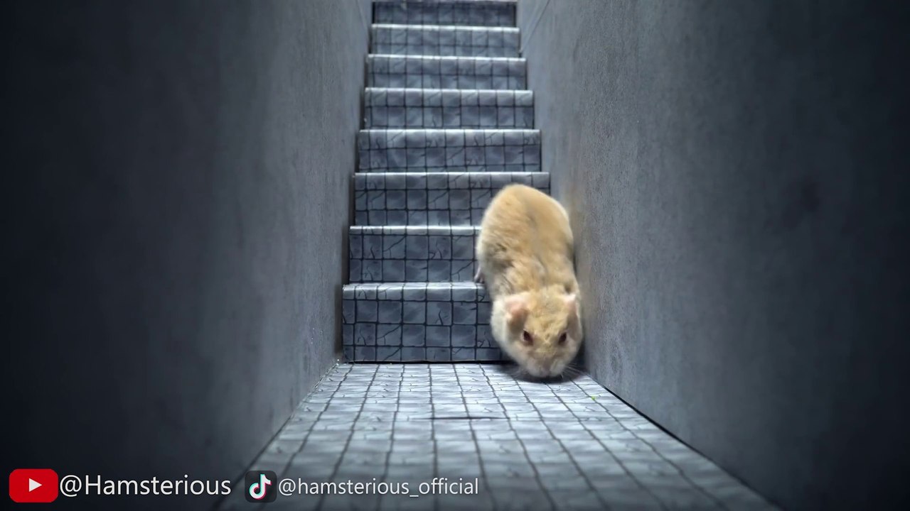 The Best Hamster Escape From The Cockroach Prison Maze  Chapter 2