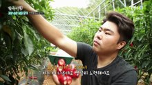한국기행 - Korea travel_고향 숨은 보물찾기 2부- 함께 즐거운 바다_#002