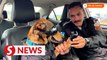 Brazil police dog mascot becomes internet sensation