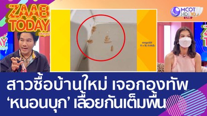 หัวจะปวด! สาวซื้อบ้านใหม่ เจอกองทัพ 'หนอนบุก' เลื้อยกันเต็มพื้น (18 ต.ค. 65) แซ่บทูเดย์