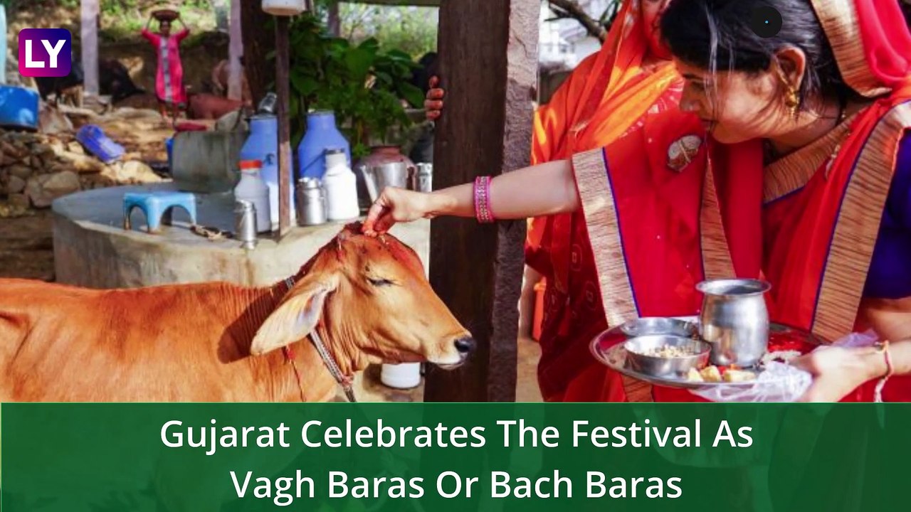 Govatsa Dwadashi Or Bach Baras 2022: Date, Nandini Vrat Traditions, Shubh Muhurat, Puja Vidhi Of Festival Devoted To Worshipping Cows And Calves