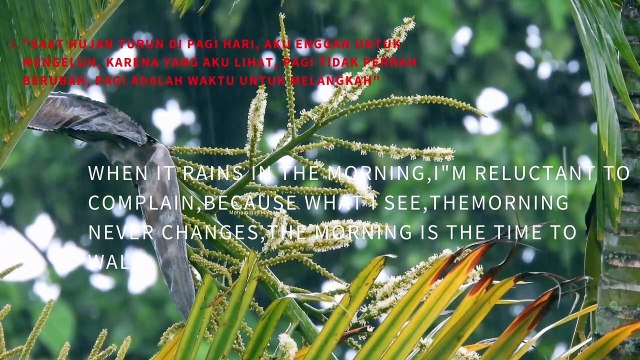 Saat hujan turun di pagi hari, aku enggan untuk mengeluh, karena yang aku lihat, Pagi tidak pernah berubah, pagi adalah waktu untuk melangkah Selamat pagi sahabat, selamat beraktifitas.