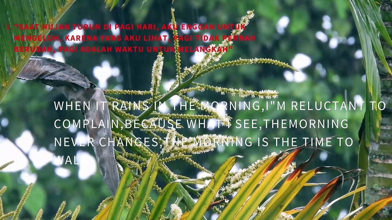 Saat hujan turun di pagi hari, aku enggan untuk mengeluh, karena yang aku lihat, Pagi tidak pernah berubah, pagi adalah waktu untuk melangkah Selamat pagi sahabat, selamat beraktifitas.