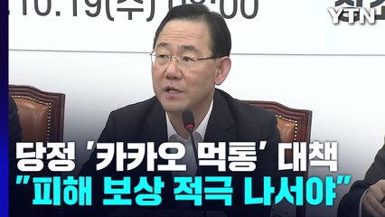 당정 "데이터 이중화 의무 추진"...입법 전 선제조치 / YTN