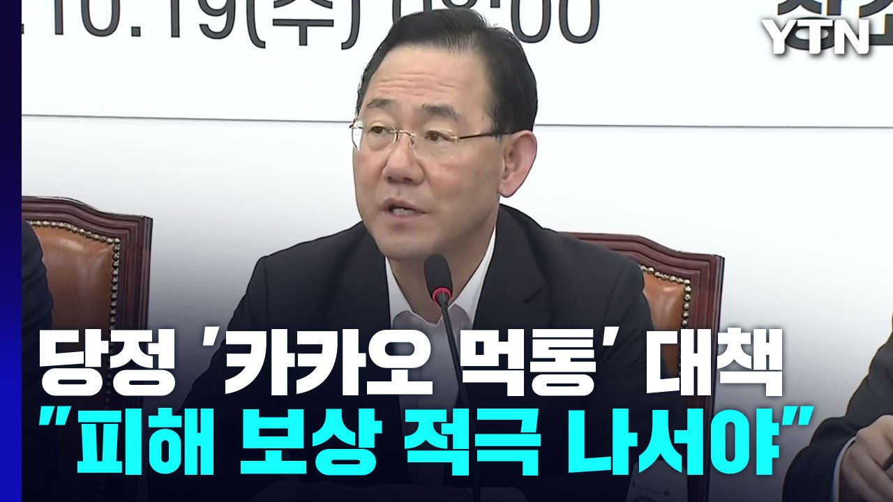 당정 "데이터 이중화 의무 추진"...입법 전 선제조치 / YTN