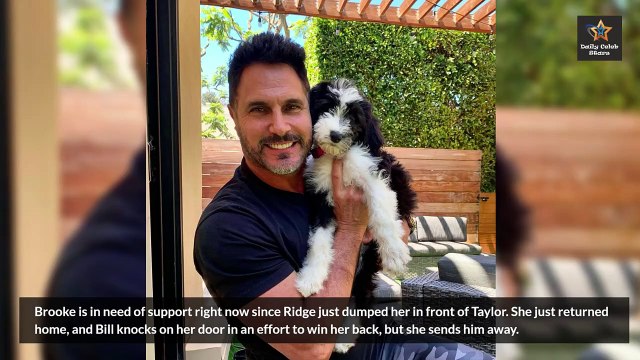 Brooke Drunken Mistake, Liam Kisses Hope Mom For Revenge Bold and the Beautiful