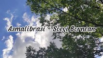 Lirik lagu soegi bornean - Asmalibrasi [Lirik & Cover]
