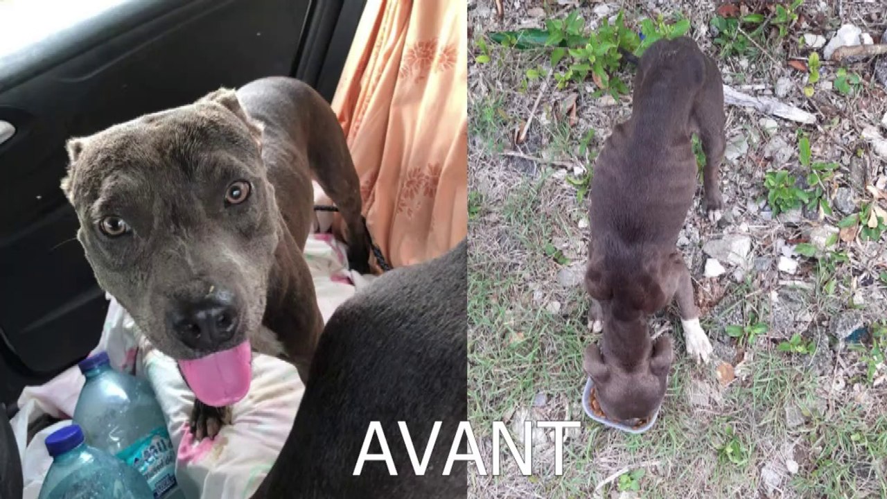 interview de Sylvie Roche "Les amis de Sam" au micro de Davy Moisson