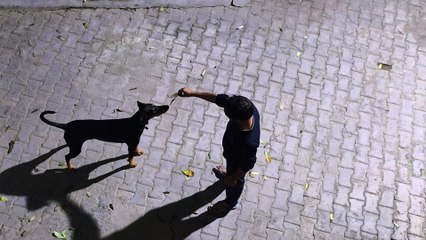 Groot's playing time.