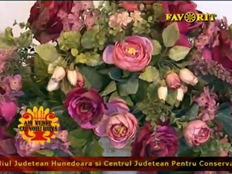 Alin Nastase - A plecat familia (Am venit cu voie buna - Favorit TV - 02.05.2015)