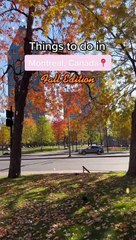 Hershey Rosen - Things to do in Montreal, Canada