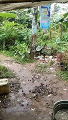 HUJAN DI PAGI HARI