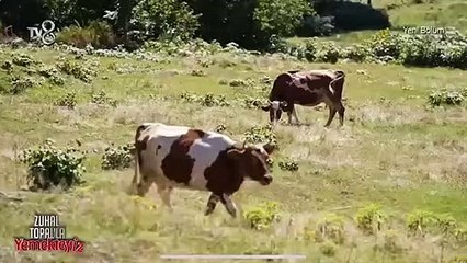 Zuhal Topal'ın Trabzon şivesi sosyal medyada alay konusu oldu