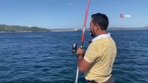 Çanakkale yerel haberi | Çanakkale'de olta balıkçıları balık azlığından dertli