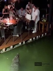  Night out party invited  spacial guest 