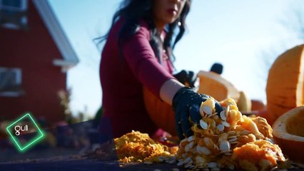 Incroyables citrouilles - 21 octobre