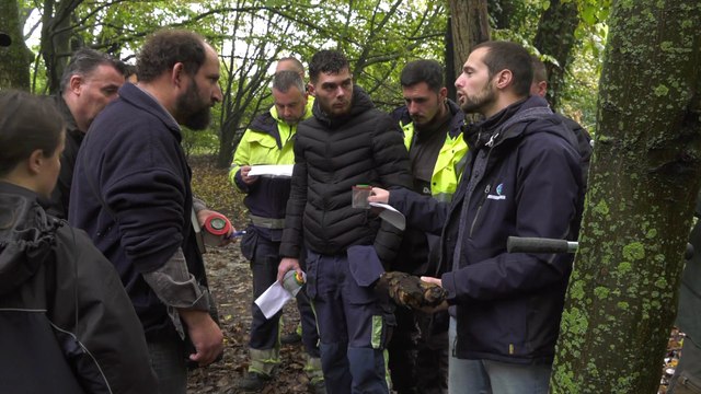 Actus : Le sol de nos espaces verts, un monde vivant - 19 octobre 2022