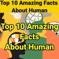 Human 10 Facts _ 10 Amazing facts _ 10 Interesting Facts _ #Shorts#Short #YoutubeShorts #Anandfacts-(480p)