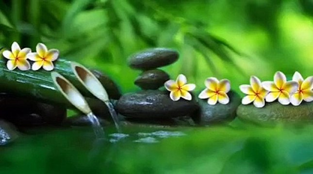 Bamboo Water Sound I Relax Your Soul I Healing Music I Relieve Stress I Deep Sleeping I Stress Meditation I Deep Sleep Meditation