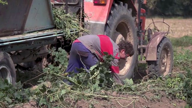 La Seguridad Social gana 18.528 afiliados extranjeros en septiembre