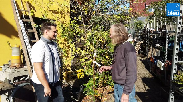 C'est le moment de préparer vos plantations d'arbres