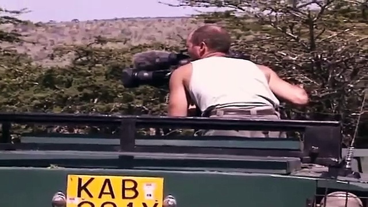 Big Cat Diary - Se1 - Ep10 HD Watch HD Deutsch