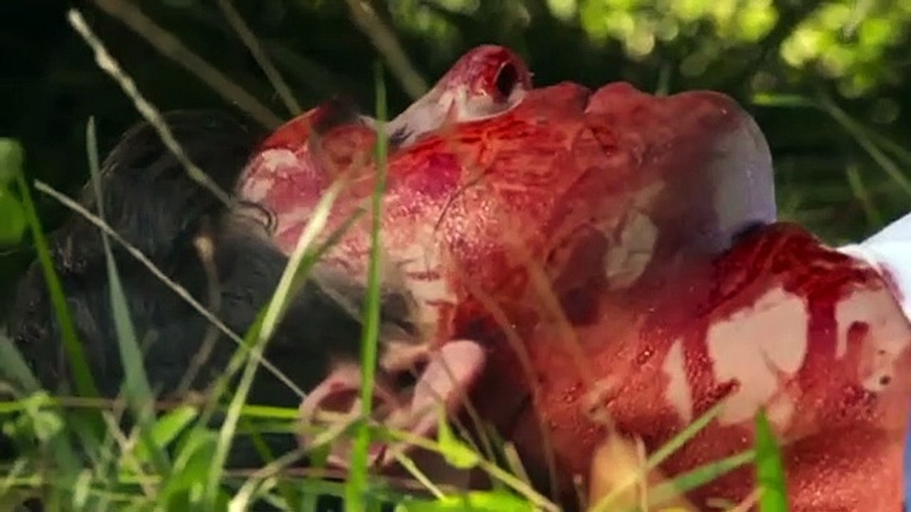 Shadow of Doubt - Se1 - Ep05 HD Watch HD Deutsch