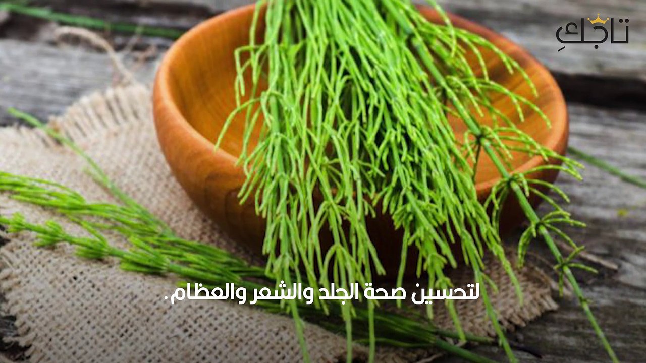فوائد عشبة ذيل الحصان لنمو وتطويل الشعر - فيديو Dailymotion