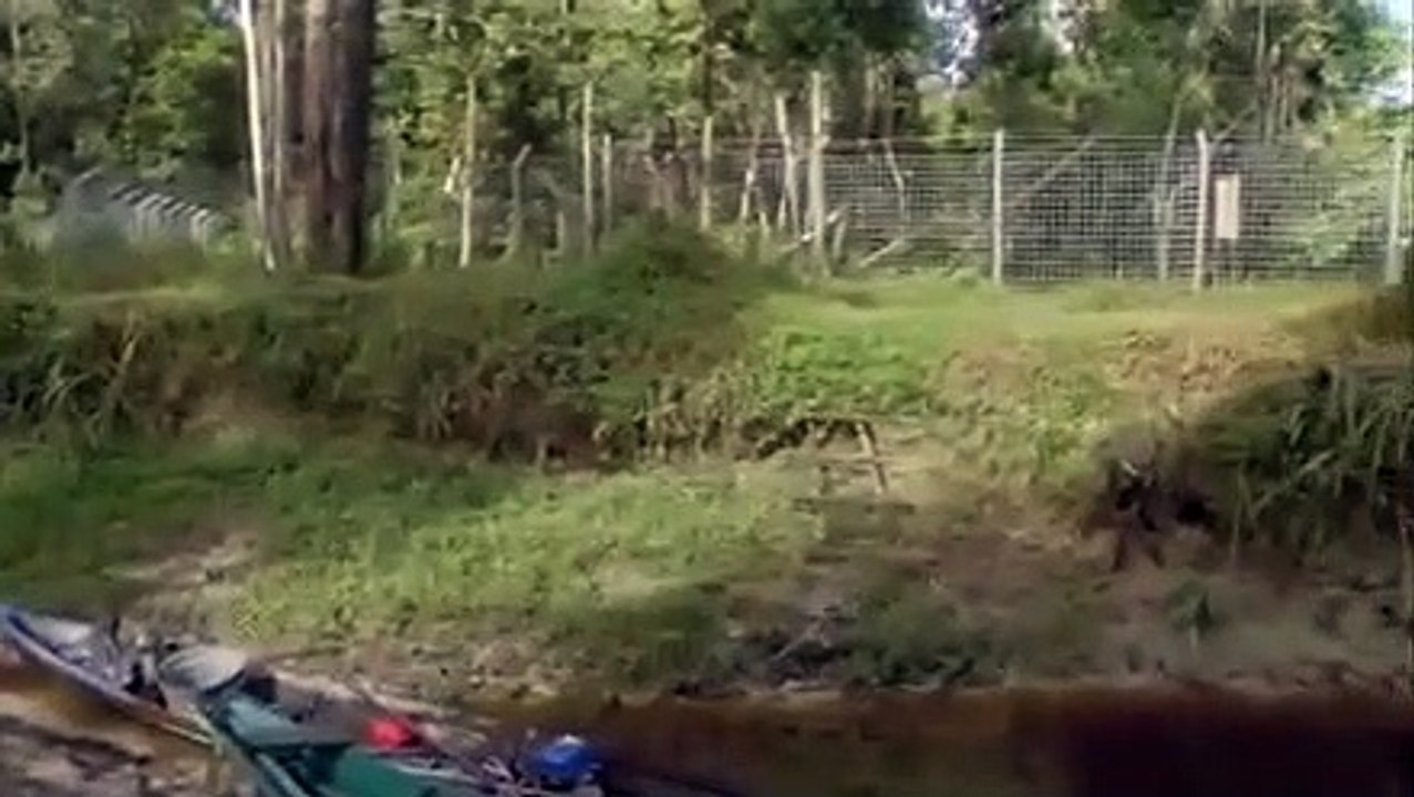 Orangutan Island - Se1 - Ep06 - Growing Pains HD Watch HD Deutsch