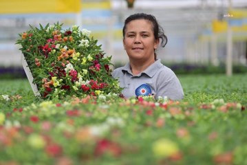 Antalya yerel haberi... Antalya Sokaklarını 3 Milyon Çiçek Süsleyecek