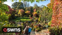 Stunning video shows wave of autumn colour spreading across one of Britain's most celebrated gardens