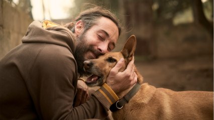 This rescue dog gives a heartbroken husband courage to carry on