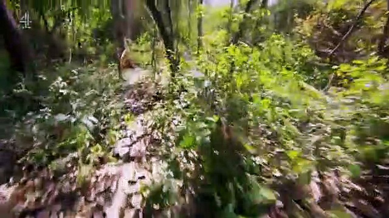 Treasure Island with Bear Grylls - Se1 - Ep03 HD Watch HD Deutsch