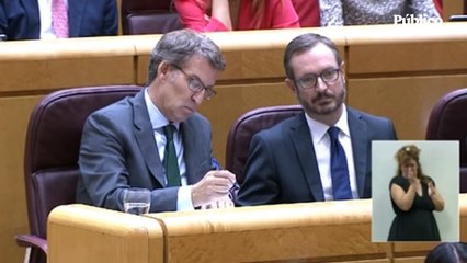 Pedro Sánchez, en el debate en el Senado: "Señor Hernando, se me había olvidado que está usted aquí"