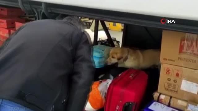 Son dakika haber: Yolcu otobüsüne uyuşturucu operasyonu: 12.4 kilo uyuşturucu ele geçirildi