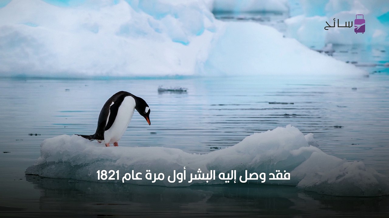 القطب الشمالي والجنوبي