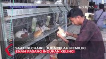 Cuan Puluhan Juta Rupiah dari Bisnis Ternak Kelinci