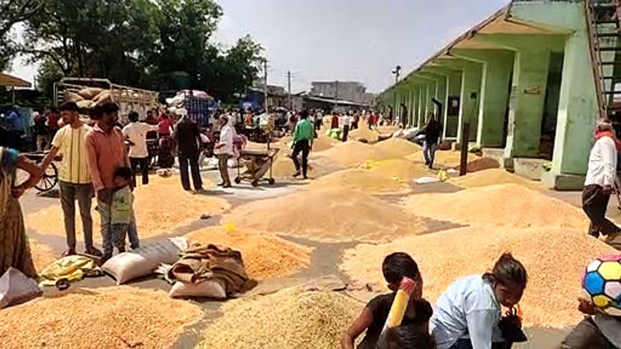 सोयाबीन के भावों में कमी, किसान हुए मायूस