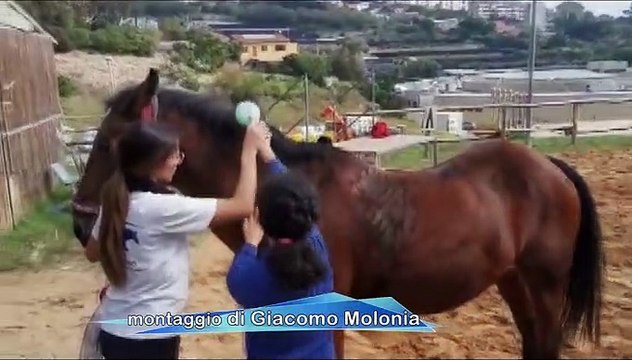 Educazione cura inclusione, via al progetto alla Cittadella sportiva universitaria